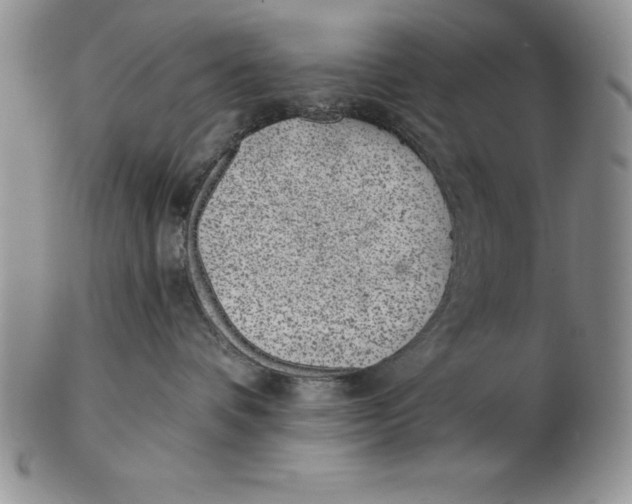 X0000102360336200808221722