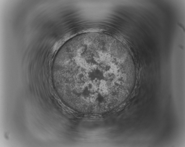 X0000102360337200808221721