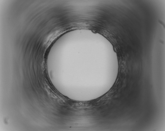 X0000102360338200808221721