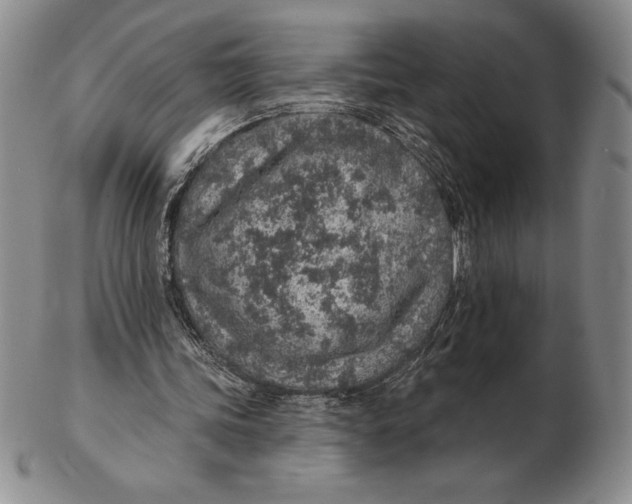 X0000102360339200808221721