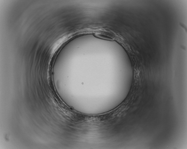 X0000102360340200808221721