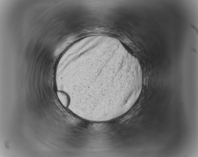 X0000102360341200808221721