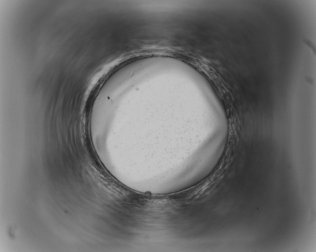 X0000102360342200808221721