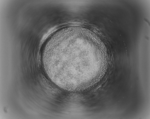 X0000102360343200808221721