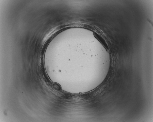 X0000102360344200808221721