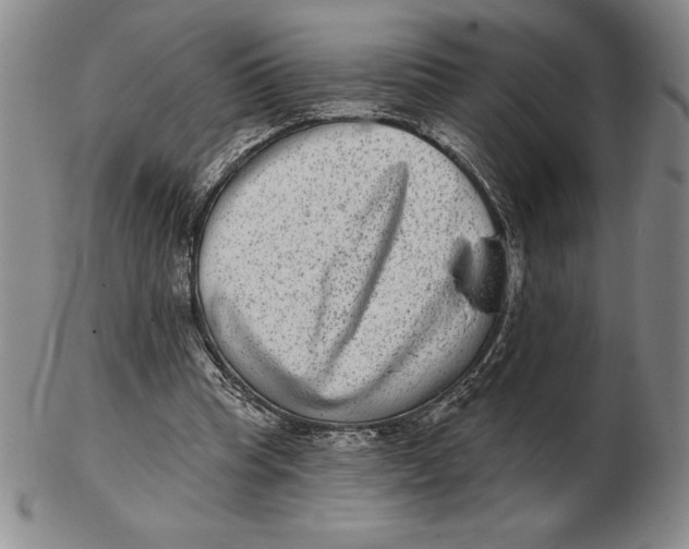 X0000102360345200808221721