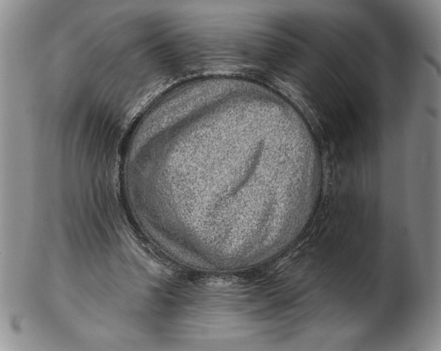 X0000102360346200808221721