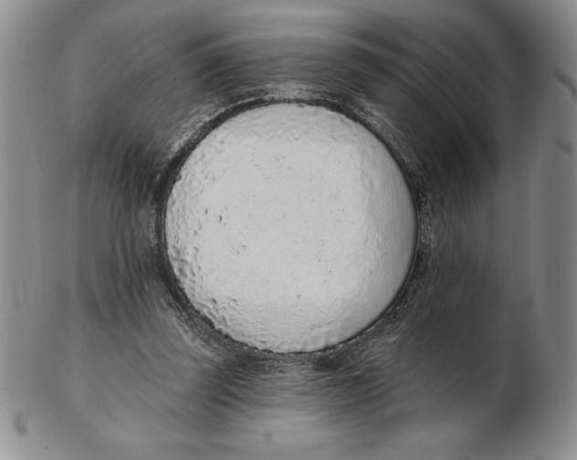 X0000102360347200808221721