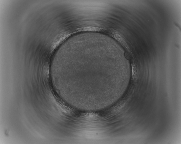 X0000102360348200808221721