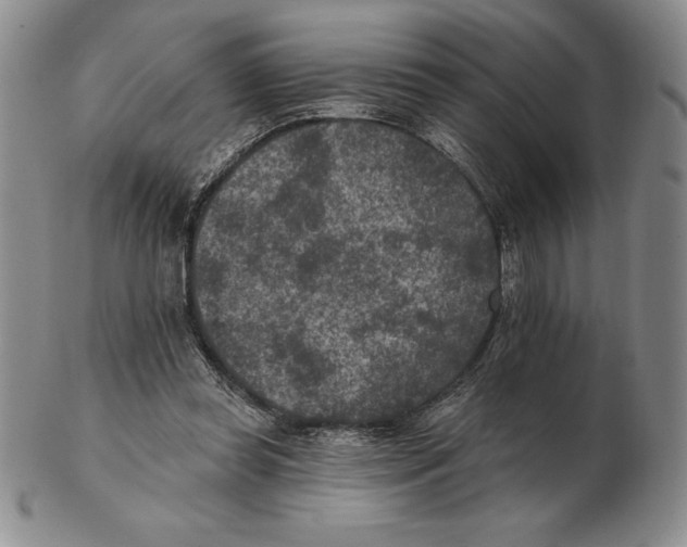 X0000102360349200808221721