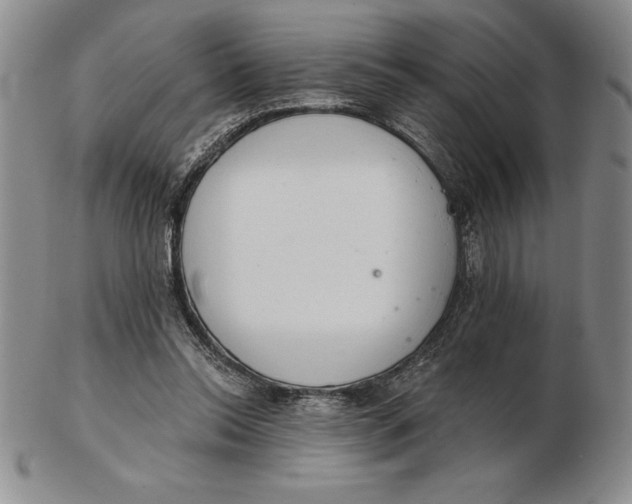 X0000102360350200808221721