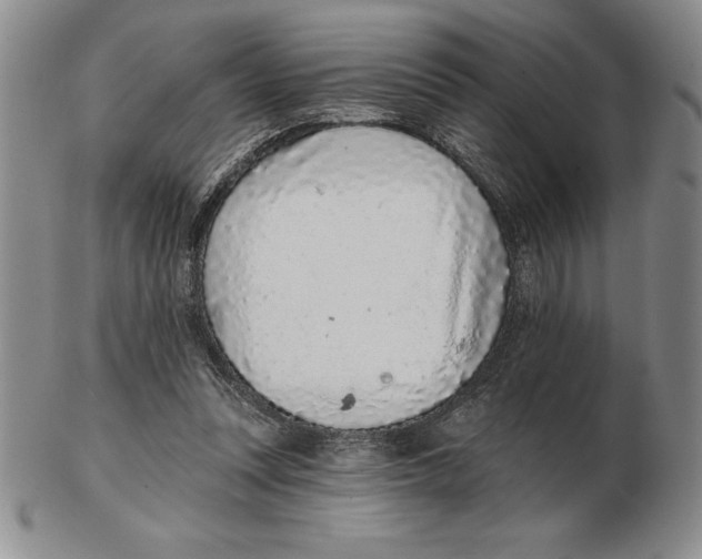 X0000102360351200808221721