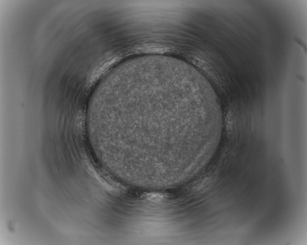 X0000102360352200808221721