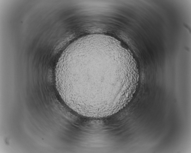 X0000102360353200808221721