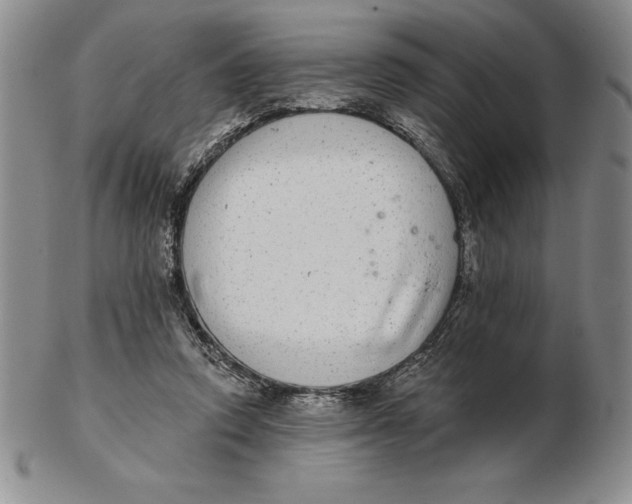 X0000102360354200808221721