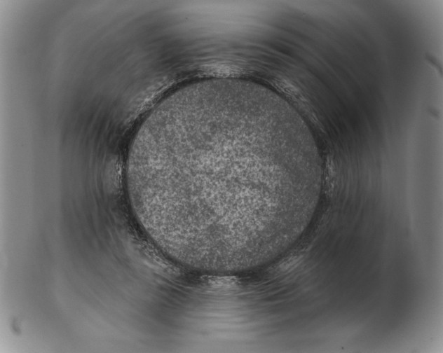 X0000102360355200808221721