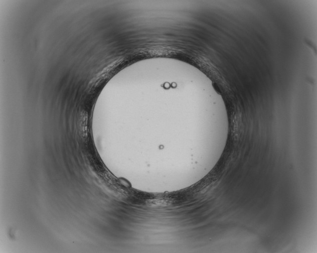 X0000102360356200808221721