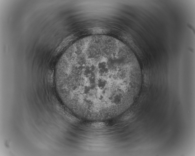 X0000102360357200808221721