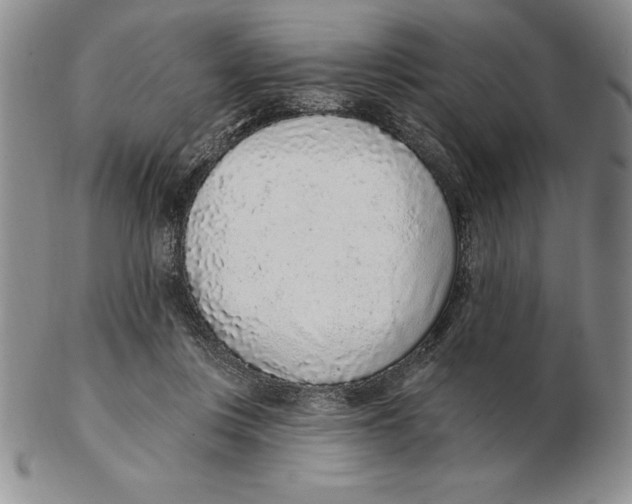 X0000102360359200808221721