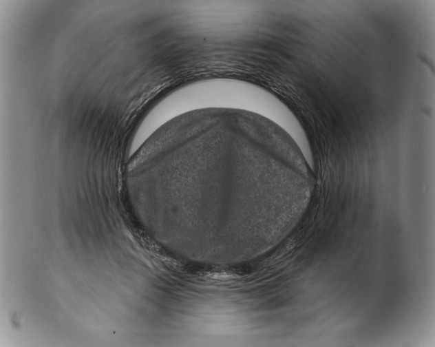 X0000102360360200808221721