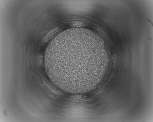 X0000102360361200808221721