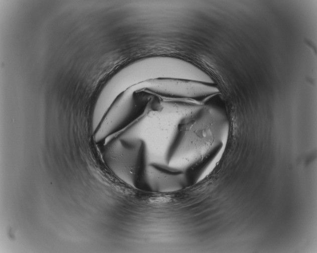 X0000102360362200808221721