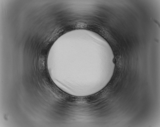 X0000102360363200808221721