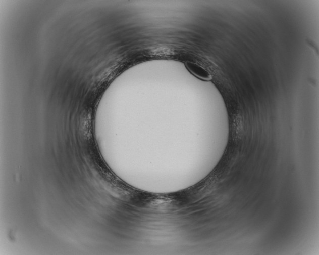 X0000102360364200808221721