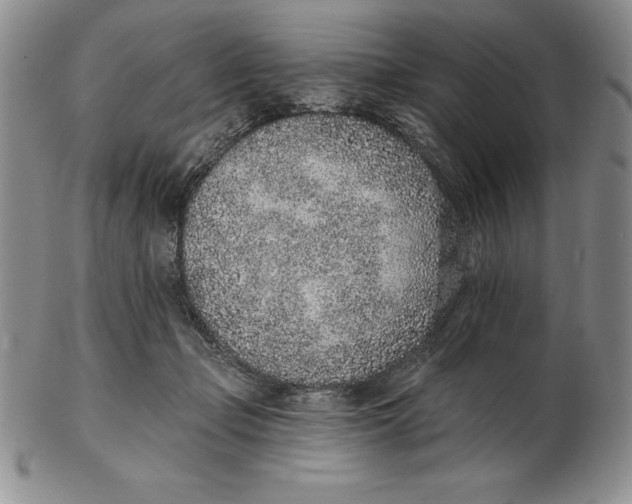 X0000102360365200808221721