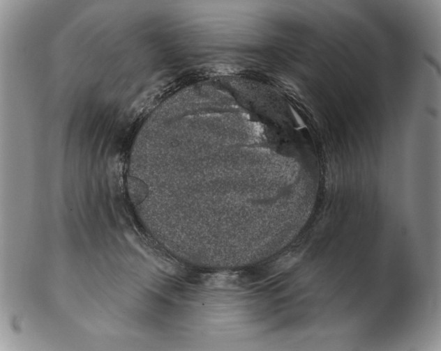 X0000102360366200808221721