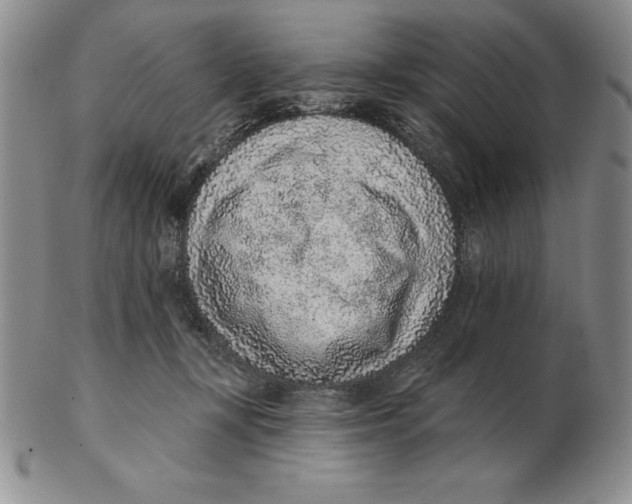 X0000102360367200808221721