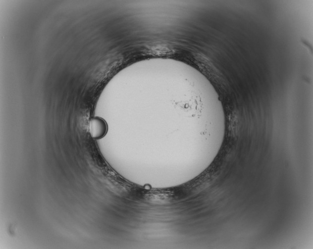 X0000102360368200808221721