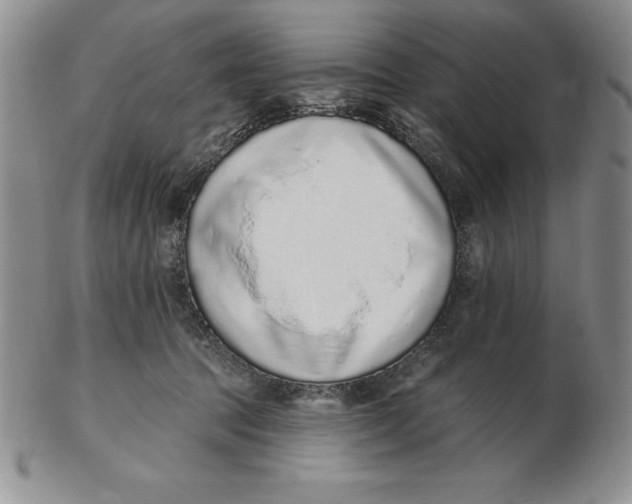 X0000102360369200808221721