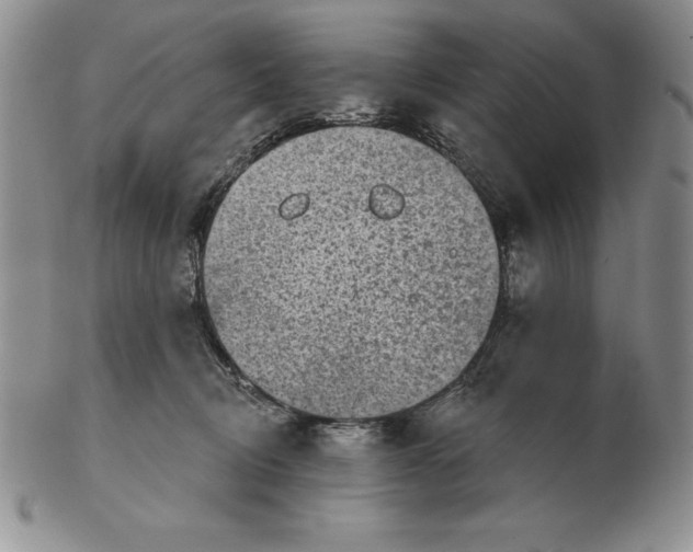 X0000102360370200808221721