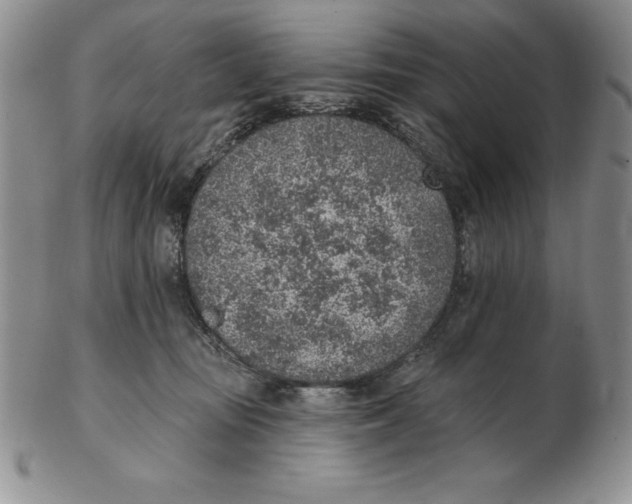 X0000102360371200808221721