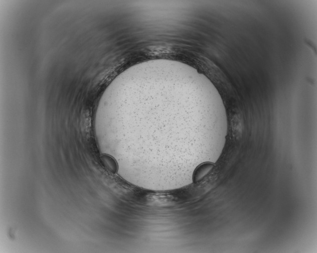 X0000102360372200808221721