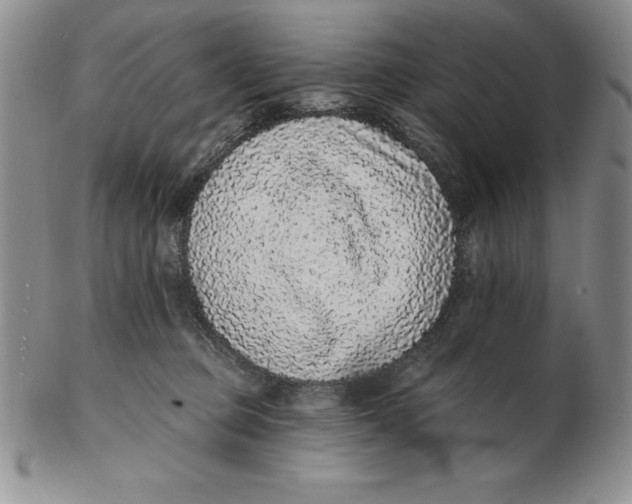 X0000102360373200808221721