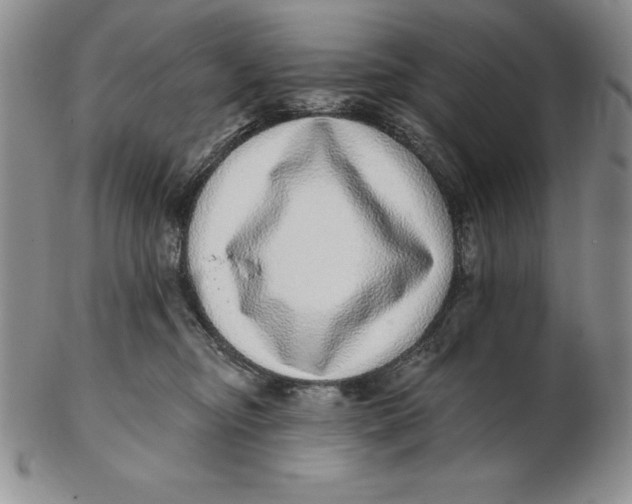 X0000102360374200808221721