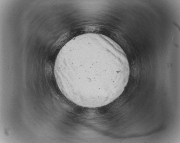 X0000102360375200808221721