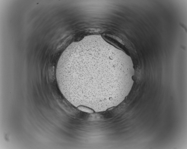 X0000102360376200808221721