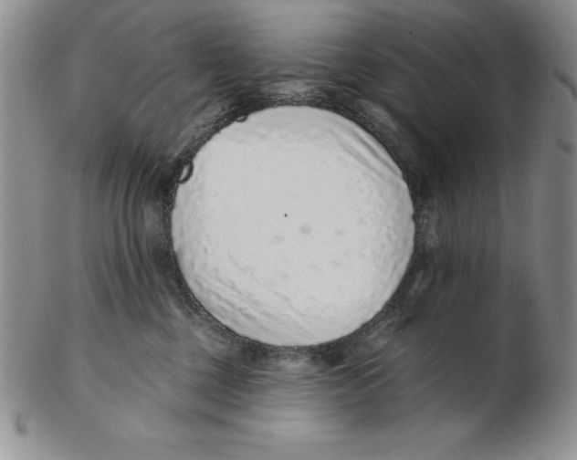 X0000102360377200808221721