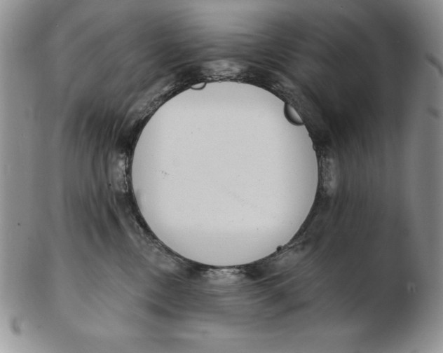 X0000102360378200808221721