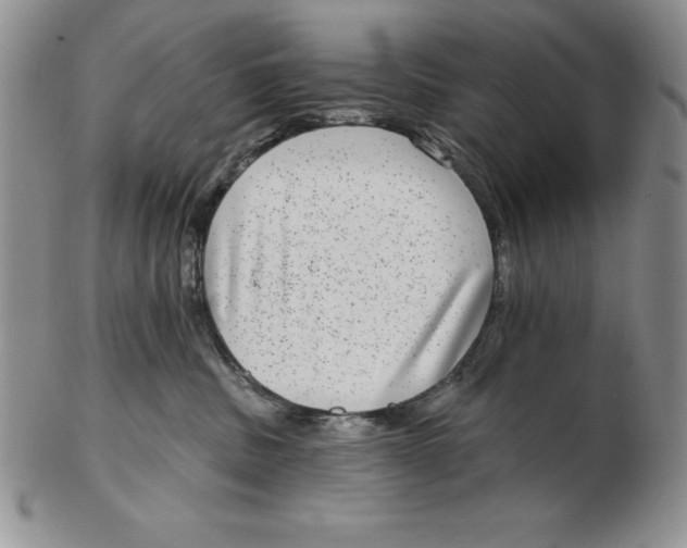 X0000102360379200808221721