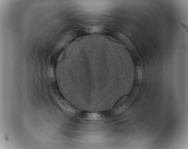 X0000102360380200808221722