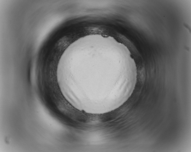 X0000102360381200808221722