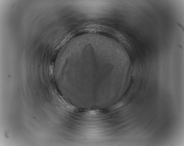 X0000102360382200808221722