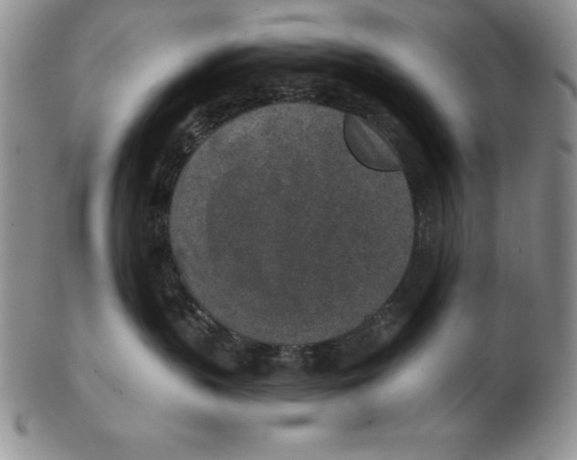 X0000102360383200808221722