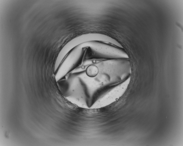 X0000102360384200808221722