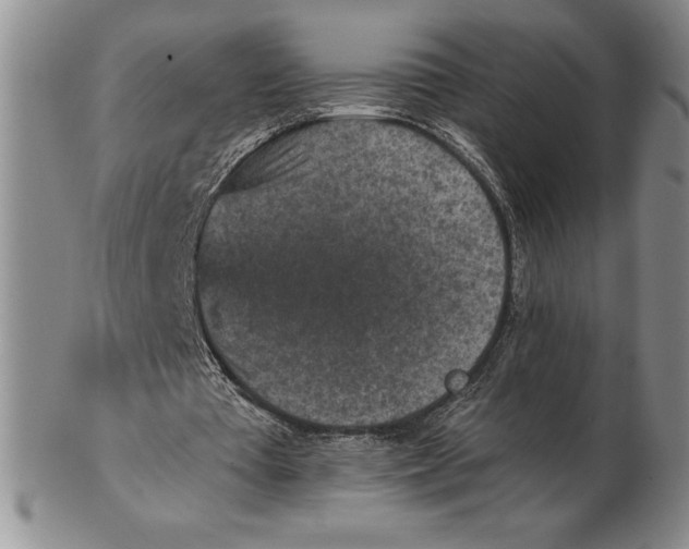 X0000102360385200808221721