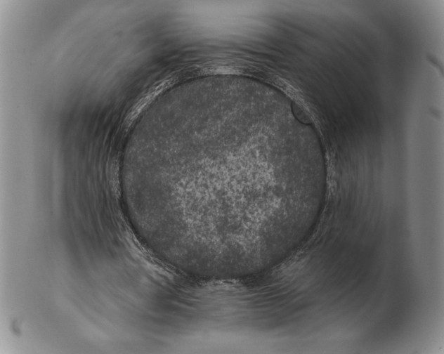 X0000102360386200808221721